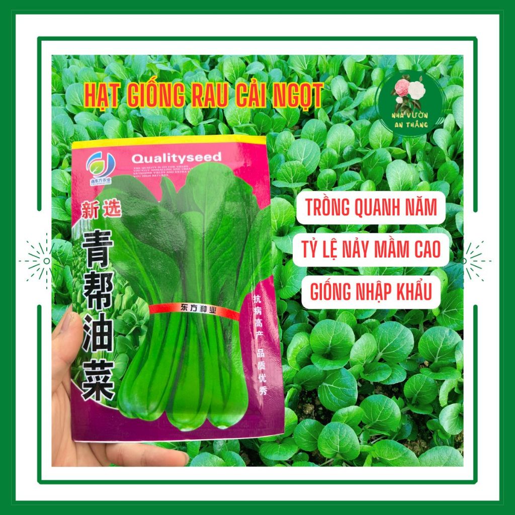 Bán hết Hạt giống rau cải ngọt xanh nhập khẩu chịu nhiệt tốt
