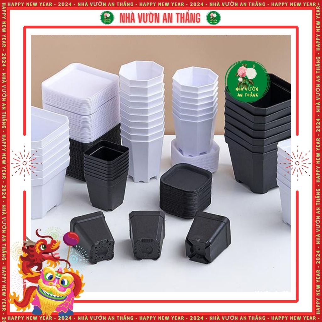 COMBO 5 chậu nhựa vuông ươm hạt