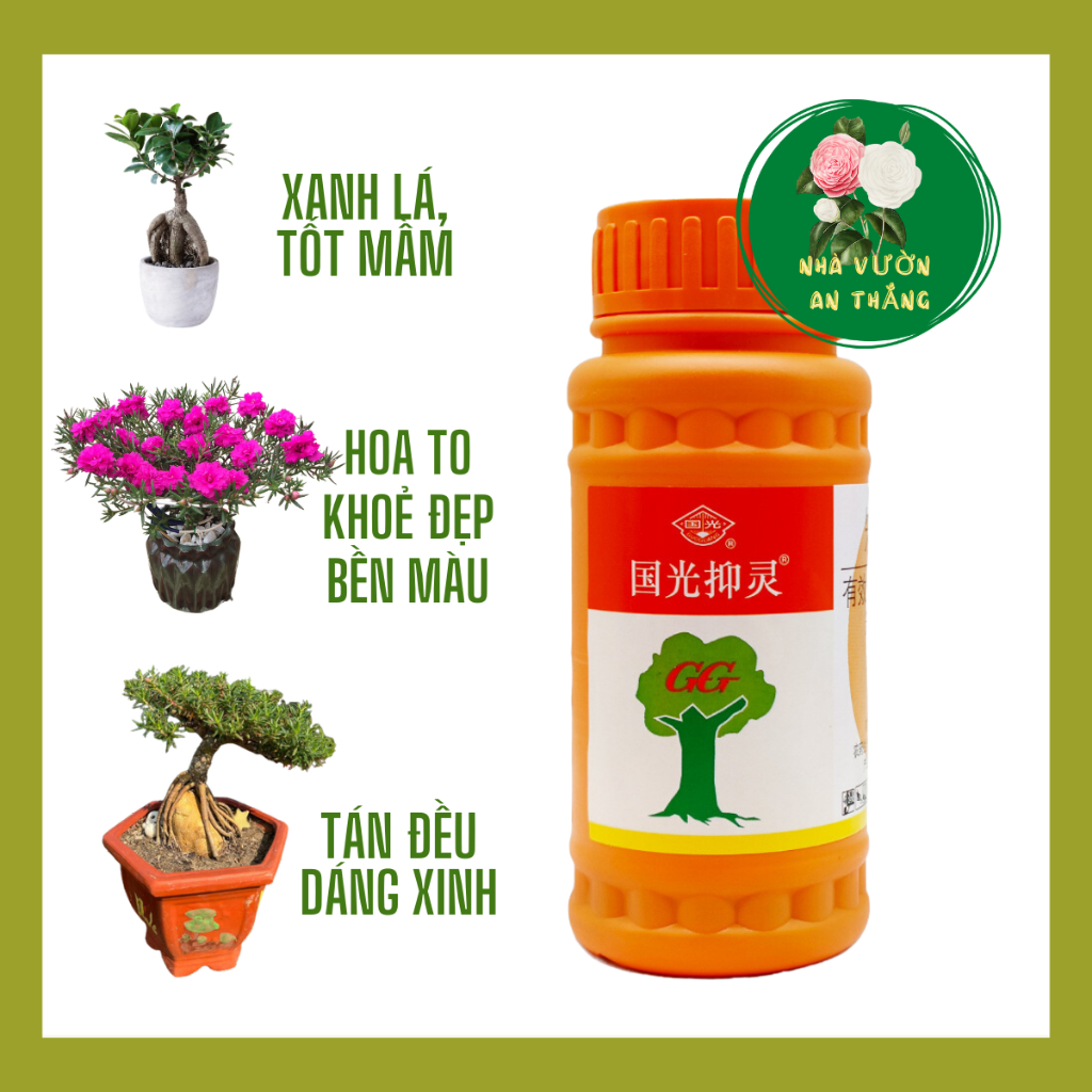 Chất Làm Lùn