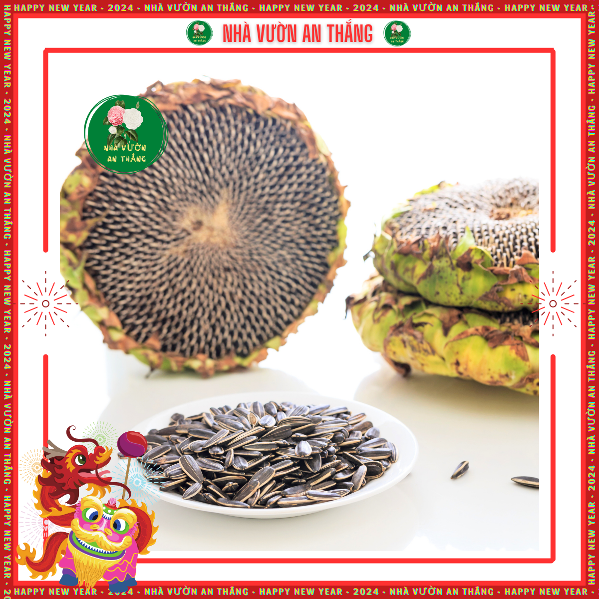 Hoa Hướng Dương Ăn Hạt