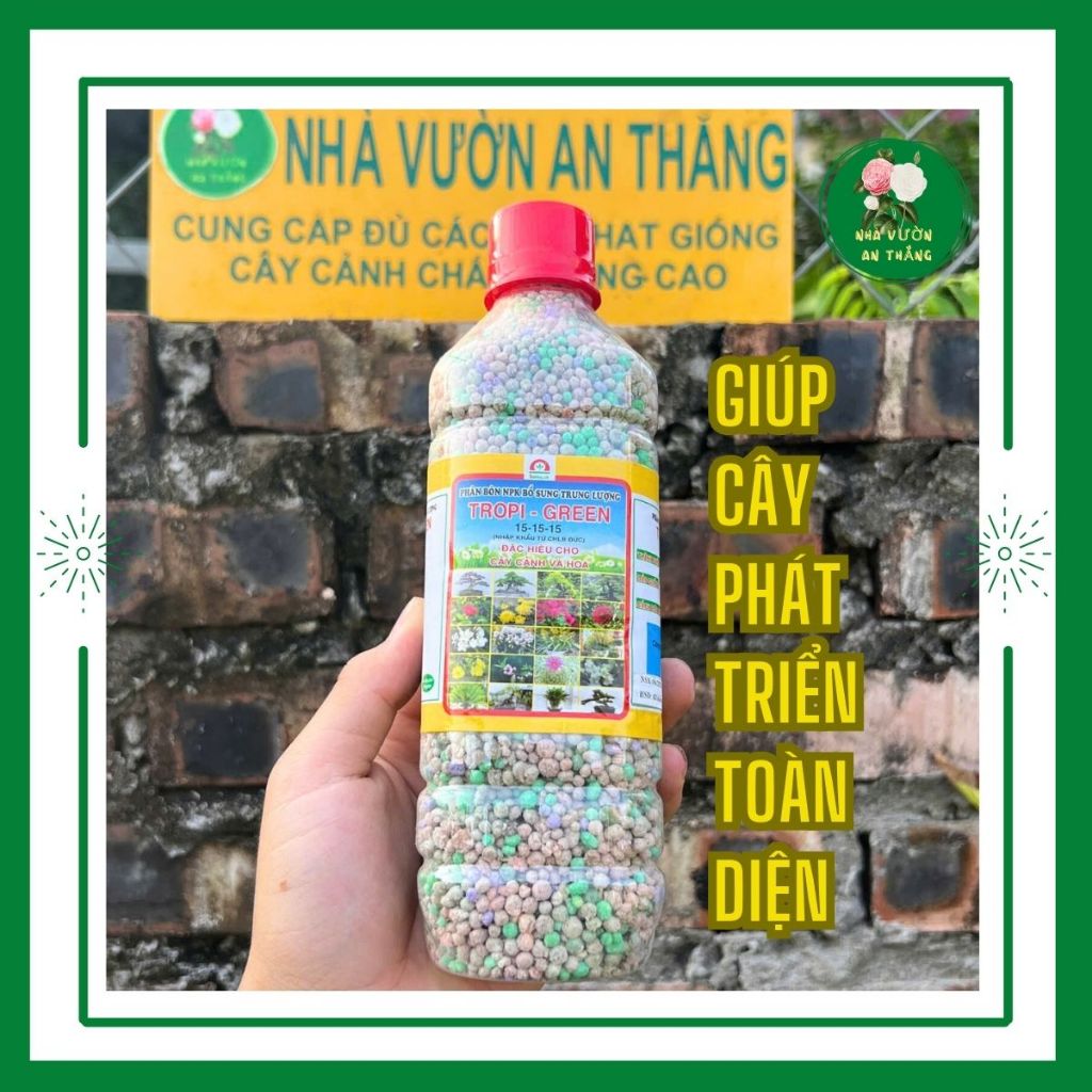 Phân bón tổng hợp NPK cho hoa và cây cảnh luôn xanh đẹp 15:1